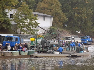 DSCN0296