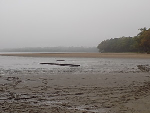 DSCN0297