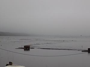 DSCN0304