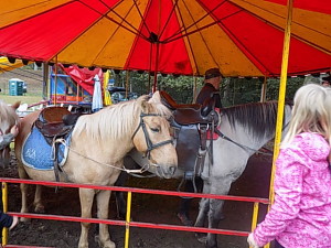 DSCN0311