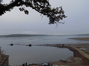 DSCN0317