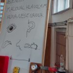 Program Používám mozek